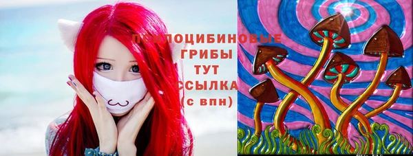 СК Балахна